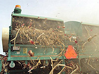 Onion Harvester for Agricultural