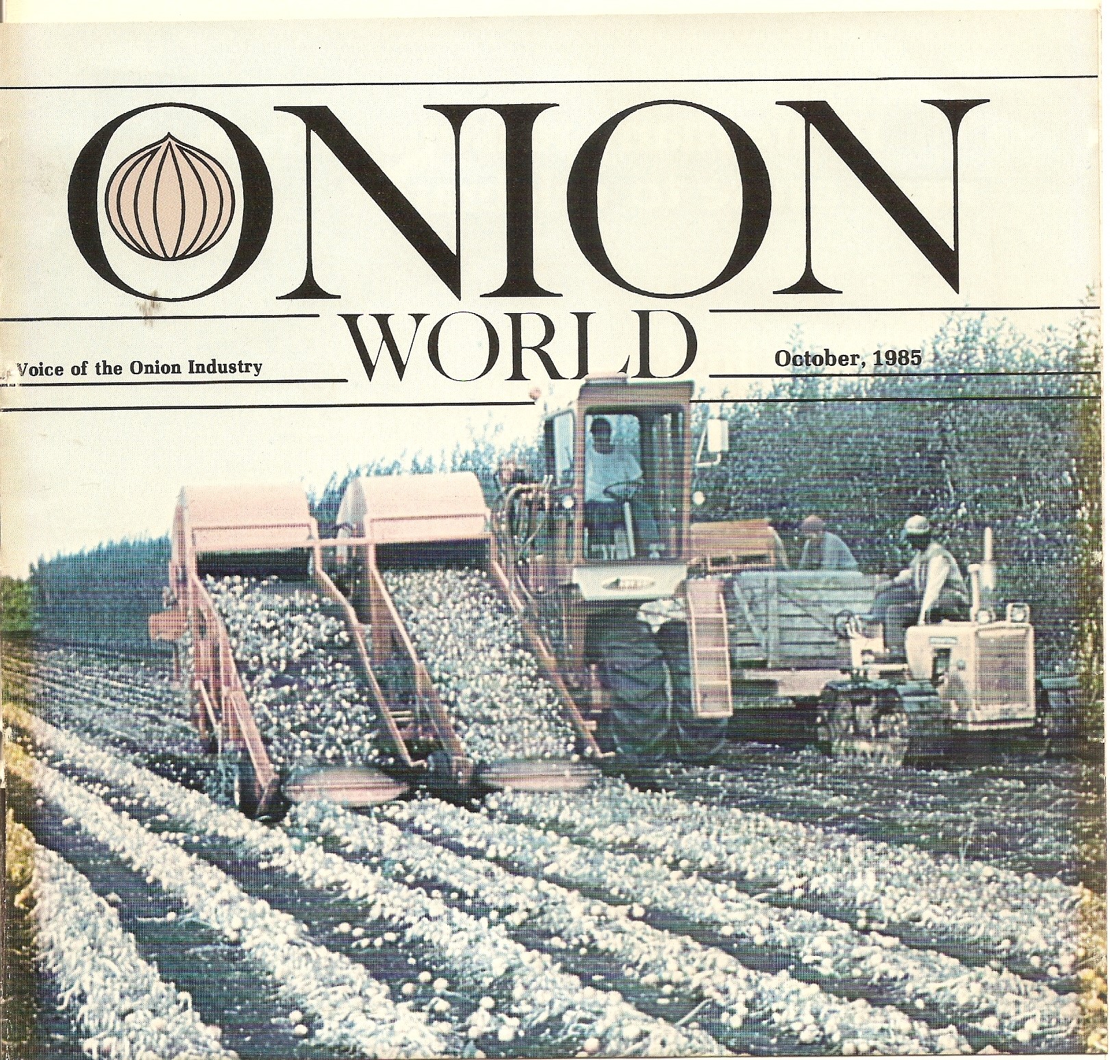 Onion World Cover